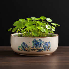 大号铜钱草水培花盆碗莲一叶莲专用盆水仙陶瓷汝窑盆富贵竹圆盆