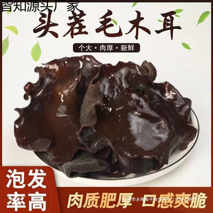 ��ľ��ľ�����ӷʼӴ��ش���غ�ľ����側�ľ�������˹�ëľ��