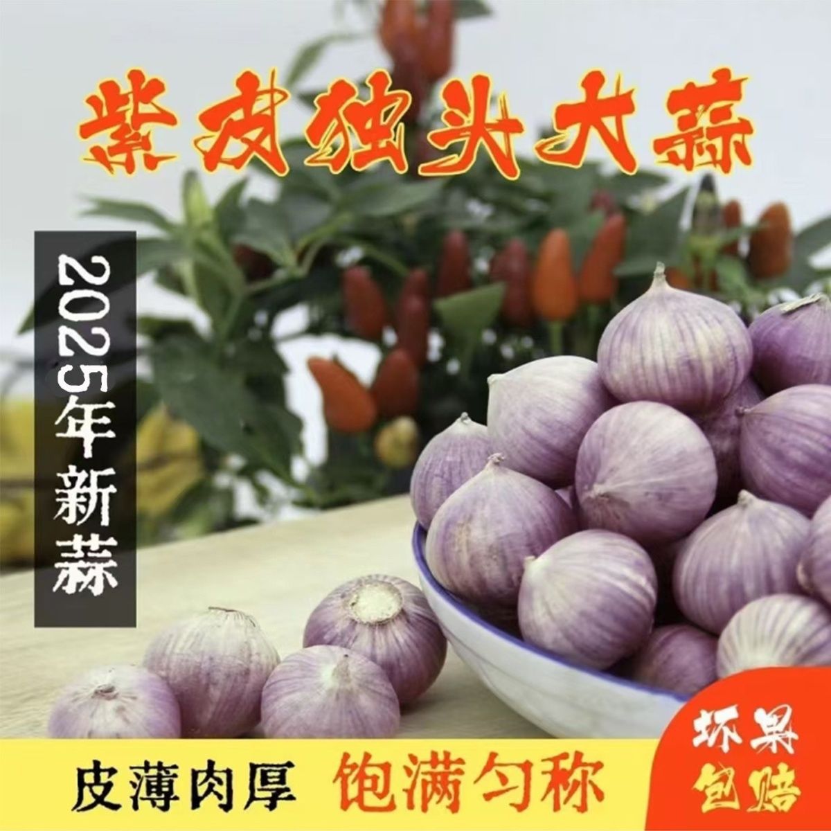 2025年产地直发独头蒜新独蒜农家晒干红皮批发价圆头独头大蒜