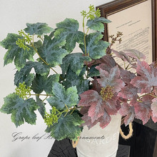 ����5辆�֦��֦�����~���������~�Gֲ�����[�����W�ҾӼٻ��b�