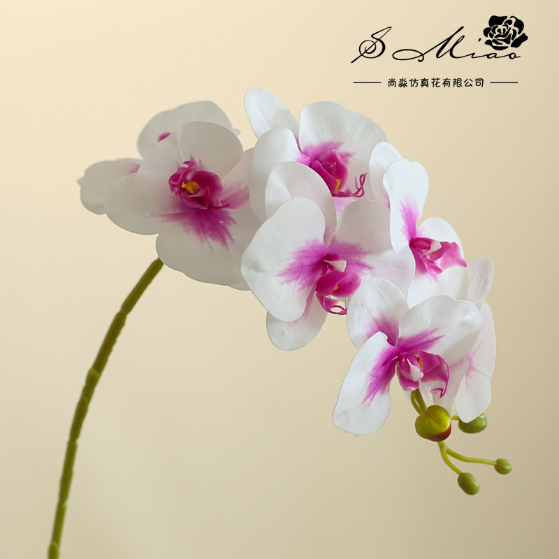Da7 flores mariposa orquídea bonsai imitación de flores fabricantes directamente para decoración del hogar imitación de flores falsas en maceta ornamentos verdes image 17