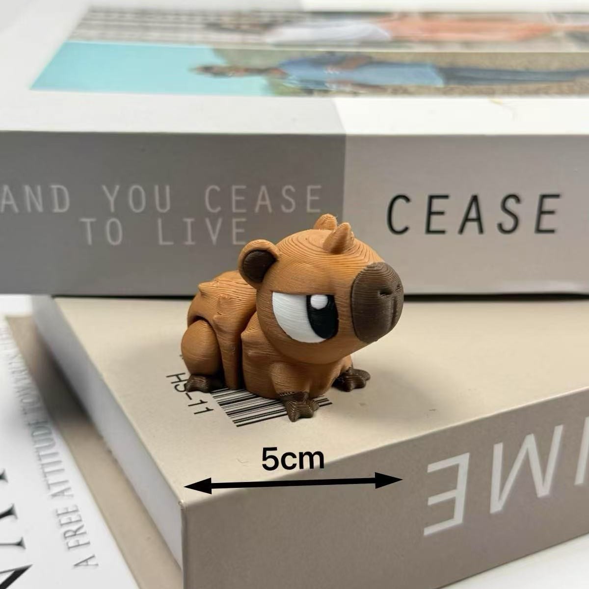 카피발라 5cm