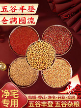 ����S���s�Z��լ�[��ů���_�I�����w���¾��b���լ�xʽ�Y���