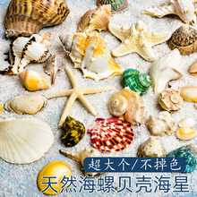 ��Ȼؐ�����ݺ����~���쾰�ֹ�diy��������L�Ư��ƿ�b�С�Y��
