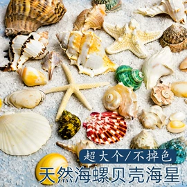 创意礼品套装;灯笼;其他美术用品