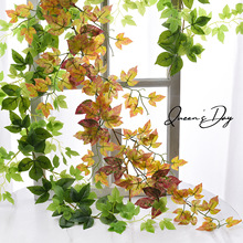 ���控���ɽ���L�l���~��ɫ�~��1.6���ٗl�����G�~�ܵ��b�����