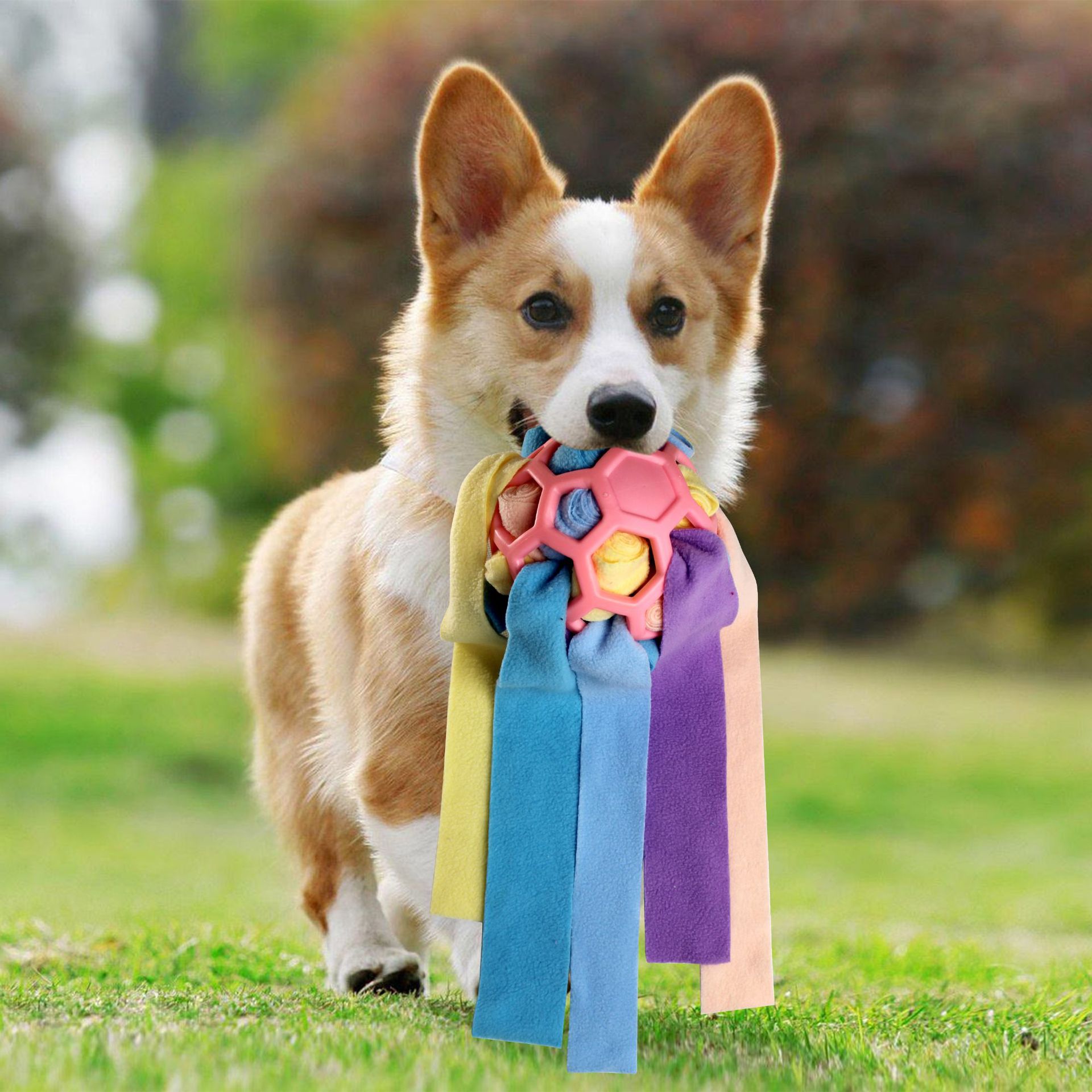 Haustierspielzeug, Schnüffelbälle für Haustiere, Blindbox für das interaktive Training mit Futterleckage für Hunde_voghion.com