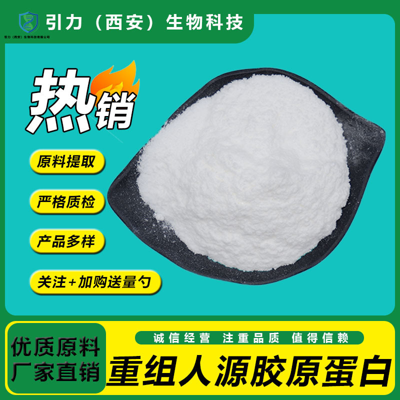 Recombinant Human Collagen 98% Cosmetic Raw Material Gravity Spot Type Three Collagen