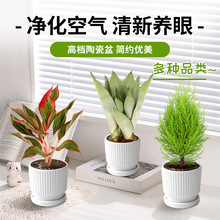 �k��������Gֲ�����҃ȿ͏d�ֵ�����LС�����ļ����˺��B����ȩ