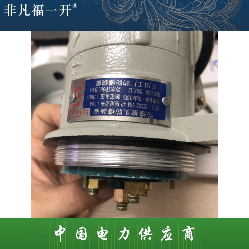 防爆接头配件防爆装置BCX53-16A用配件