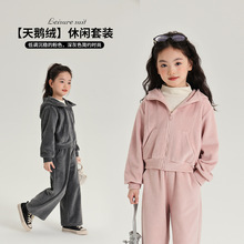 上新天鹅绒简约连帽纯色女童套装2024秋季儿童休闲上衣长裤套装