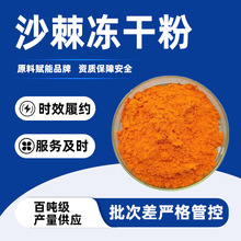 沙棘冻干粉超低温冻干技术橘黄色粉末富含维生素棕榈油酸沙棘黄酮