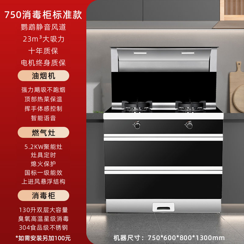 750 소독 캐비닛 표준 모델(설치 +100) - 파이프 천연가스 + 좌우 연기 배출 [ 공동보증]