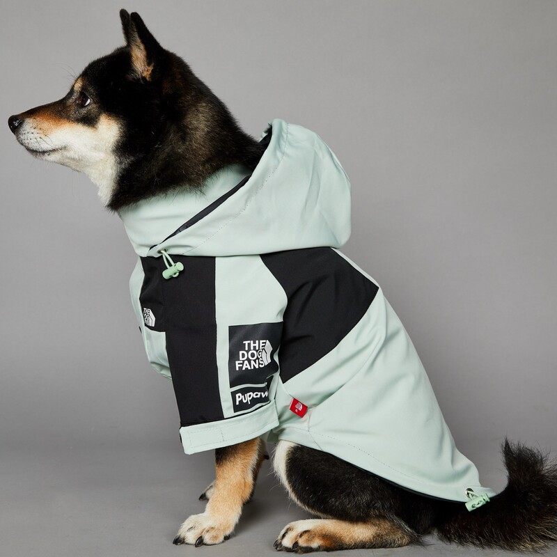 American light green fashion brand windproof rain-proof North dog face new dog large dog raincoat Dog Pet jacket