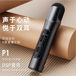 Mobile Phone Live Broadcast Mini Microphone Dsp Sound Effect Anchor National Karaoke Condenser Microphone Handheld Wireless Microphone Microphone