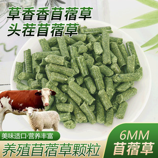 6mm��ޣ���w���u���Z�i��������w��ţ�������Bֳ���r��ޣ���w��