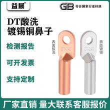 DT国标铜鼻子A级线鼻子 10-400规格齐全堵油电缆铜鼻子镀锡铜端头