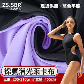锦纶消光莱卡弹力布经编加厚泳衣针织布柔软丝滑舞蹈服运动面料
