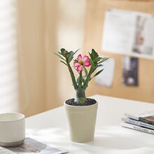 ɳĮõ�������ֲ̨����˻����҃Ⱥ��B�׻��ļ��_���ͺ�����Gֲ