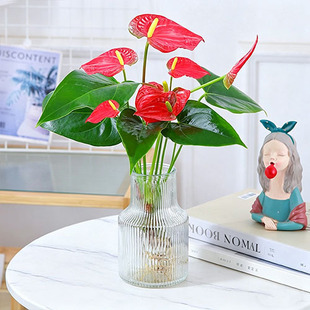 ˮ��Gֲ�t�����Ի���ֲ���҃��ļ����B���Ǝ����l؛һ���L혺��B