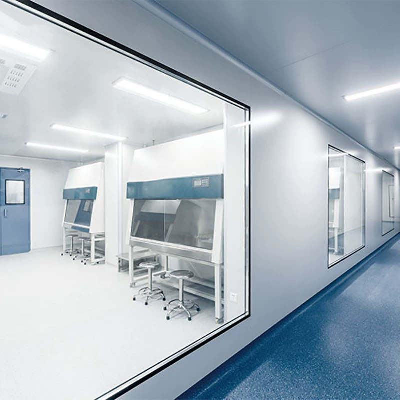 Двухслойное полое смотровое окно беспыльный цех чистое окно чистая комната лаборатория готовые окна из закаленного стекла