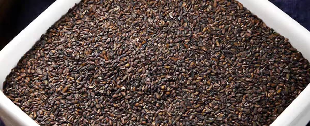 Plantain Seed (Plantago asiatica) — Dried Che Qian Zi Food Herb, 500g quality and texture