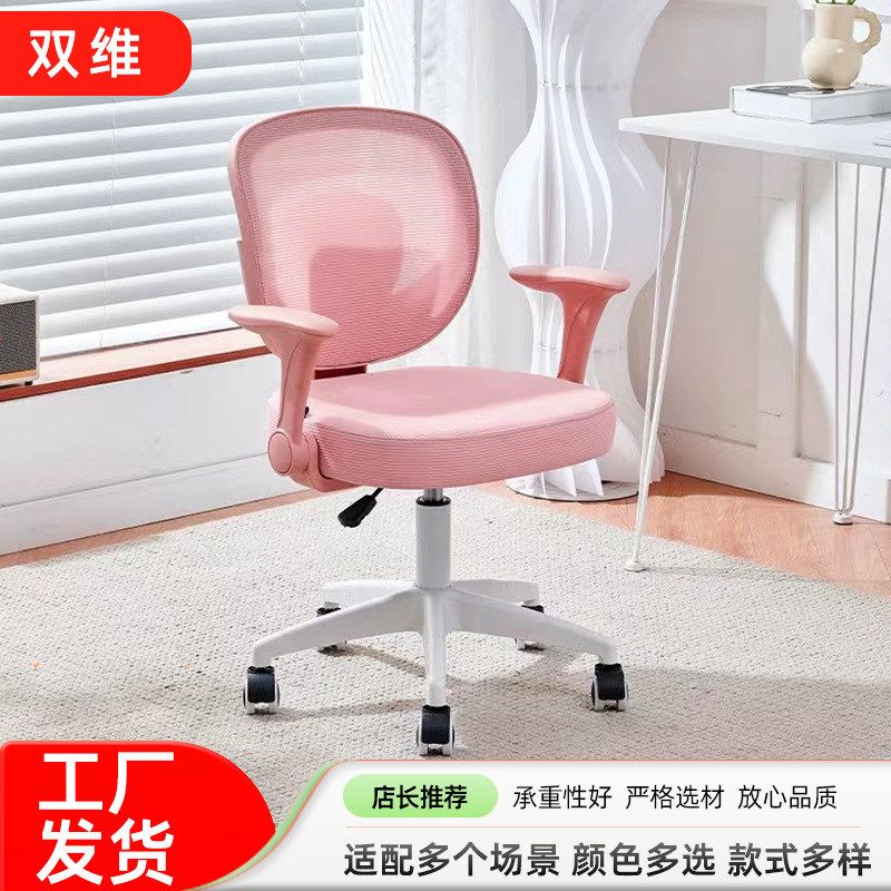 Learning Chair Children's Liftable Writing Chair with Backrest Special Lifting Computer Chair for Homework for Students