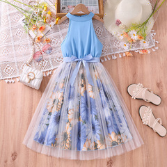 Ladies' Summer 2024 Children's Clothing Cross-Border Trade New Children's Clothes 7-12 Years Old Sleeveless European and American Style Dress