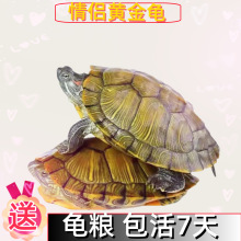 С�������������������W�tС�����S�������𾀲����^�p������