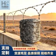 佛山厂家直销铁丝刺网刺线刀片刺网防爬刺网小区防盗网防爬刺刺线