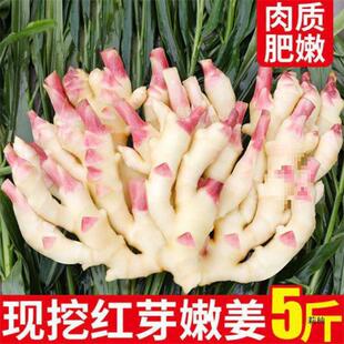 �۽������r���r�����ݼtѿ�������r�߲��r���ԷN�����l�羳