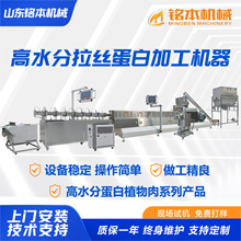 高湿蛋白机器生产线厂家大豆豌豆蛋白机高水分蛋白生产加工设备