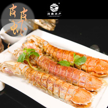 熟冻皮皮虾 漱尿虾虾姑冷冻批货皮皮虾 鲜活生冻虾虎海鲜食材批发