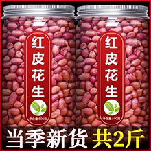 2025��tƤ�»�������Ş��������؛���r�t��С����