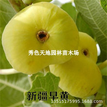 �����ǰ������S�½��o�����������S�ğo�������ͺ���������Y��