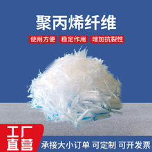 �۱�ϩ�w�S�S��ֱ�N���������������w�S���̱���PP�w�S�۱�ϩ����