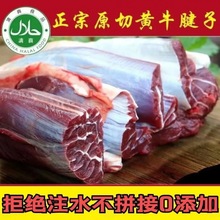 牛腱子新鲜现杀牛腩牛肉农家散养黄牛肉国产牛腿腱子肉花键金钱腱