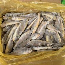 ���С�S�~ �S���~ 15��/�� ����S�~�S���~���С�S���~