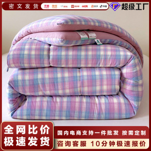 10A Antibacterial Plain Style Winter Quilt, Spring and Autumn Quilt Core, Thickened Winter Quilt, Warm Thickened Cotton Quilt, Student Quilt Wholesale