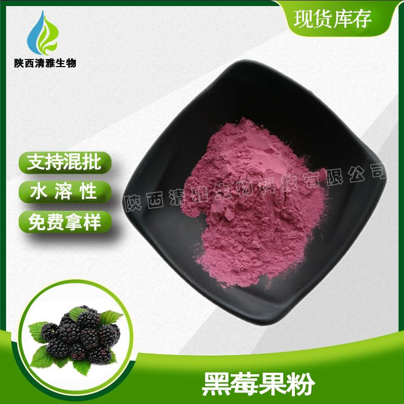 黑莓果粉 99% 水溶性 黑莓果汁粉 现货 喷雾干燥 黑莓粉 500克/袋