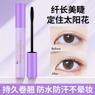 Amethycrystal dense warped mascara waterproof non-blooming slender thick curling makeup base cream cross-border cosmetics manufacturers