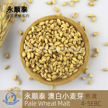 精酿啤酒原料澳白小麦芽Wheat 白色啤酒小麦芽 EBC4-5 永顺泰麦芽