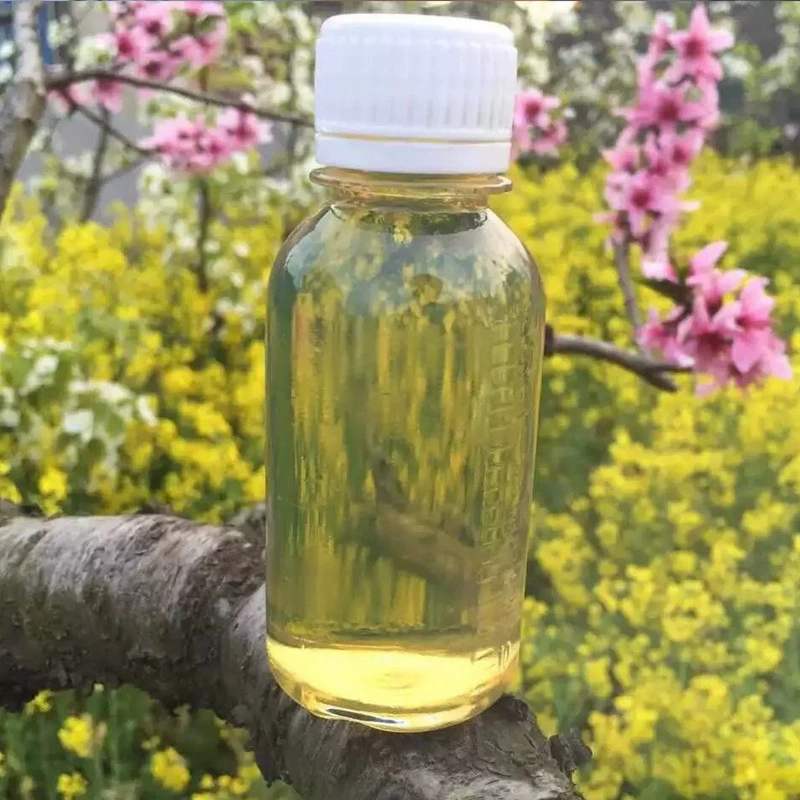 -20 # Дизель, круглогодичные поставки оптом и в розницу.