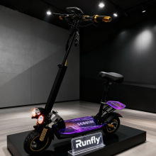 Q10灆lۯB늄ӻ܇adult electric scooter