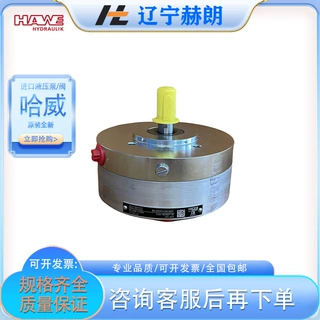 HAWE品牌进口R 0.18柱塞泵 镗床液压站配套哈威R型柱塞泵 液压泵