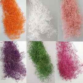 干花百万星 千万星 霞草染色满天星 家居摆设艺术小满天星