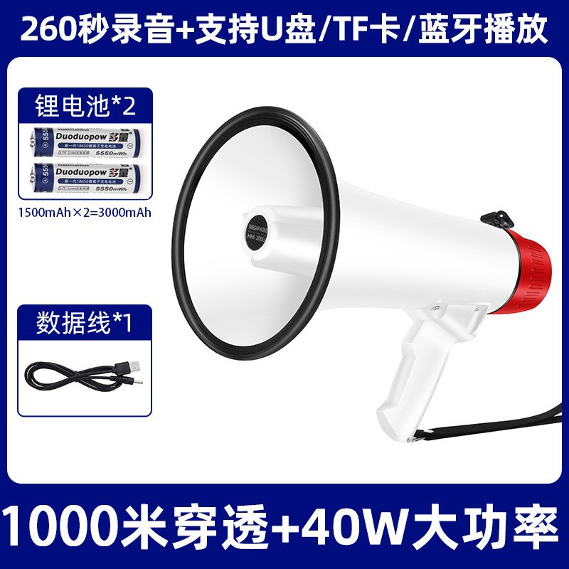 Big, 40W, high power