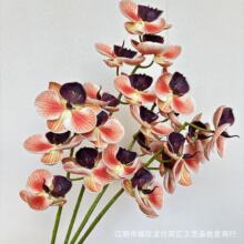 高仿贝贝蝴蝶兰厂家白色9头手感小蝴蝶兰婚礼酒店装饰花批发花