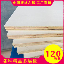 1220*2440实木多层生态板整张胶合板衣柜橱柜木工家具专用免漆板