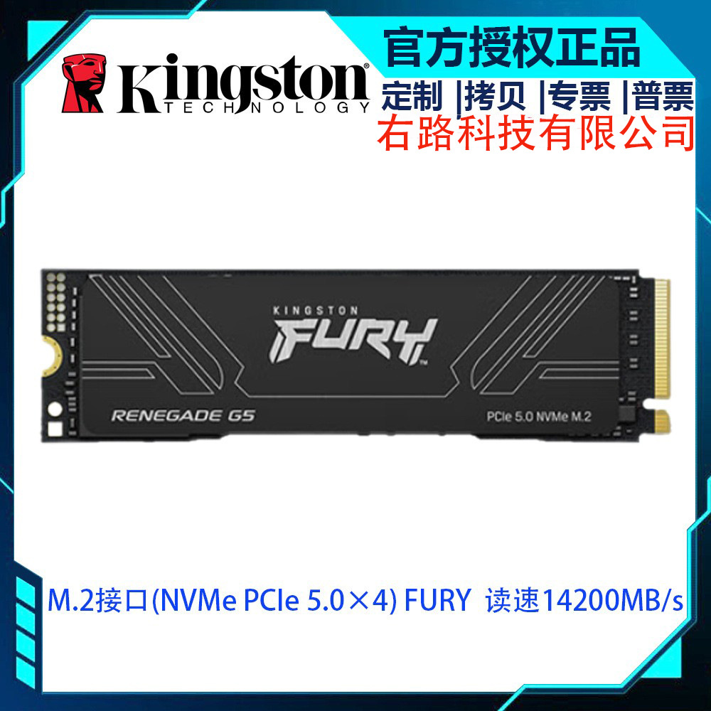 Kingston Fury G5 1Tb Solid State Drive M.2 Interface Nvme Pcie 5.0×4 Read 14200Mb/S